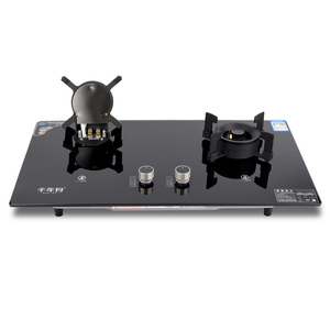 Estufa de <span class=keywords><strong>gas</strong></span>/eléctrica de combinación de <span class=keywords><strong>dos</strong></span> quemadores incorporada para el hogar Dormitorio RV Uso al aire libre Grado comercial - Product Image 1