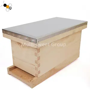 Caja de apicultura de madera nuc, caja de abeja con 5 marcos