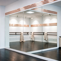 Miroirs décoratifs compacts de haute qualité OEM, panneaux muraux, miroirs muraux de luxe, décoration artistique CE