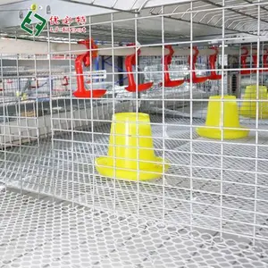 Bon marché Cages d'élevage en batterie de poulets de chair de type H/A pour élevage de volailles