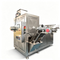 Volledig automatische gasverwarmde productie van hoogwaardige stoomgeschilderde, hydrogesneden frieten (2000 kg/uur)