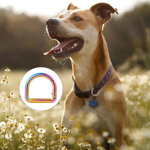 Pcs Metal D Ring Spring <b>Key</b> Hooks Keyring Clip For Keychain Buckle Backpacks Handbag <b>Purse</b> Hardware DIY Crafts - Product Image 4