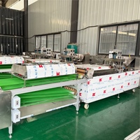 Machine à faire des roti, machine à faire des rouleaux de printemps, ligne de production de crêpes, ligne de production de pain de boulangerie, ligne de production de crêpes