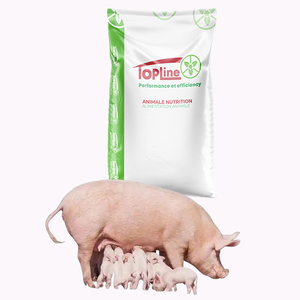 Aliment de démarrage prémélangé pour porcs avec minéraux, acides aminés, vitamines et enzymes de qualité alimentaire pour favoriser la prise de poids - Product Image 3