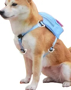 حقيبة كلب كرتونية في الهواء الطلق حقيبة سفر صغيرة للكلاب مستلزمات الحيوانات الأليفة