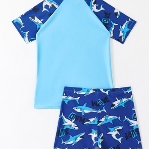 Vente en gros <span class=keywords><strong>de</strong></span> <span class=keywords><strong>maillot</strong></span> <span class=keywords><strong>de</strong></span> <span class=keywords><strong>bain</strong></span> deux pièces ensemble <span class=keywords><strong>de</strong></span> maillots <span class=keywords><strong>de</strong></span> <span class=keywords><strong>bain</strong></span> pour enfants garçons maillots <span class=keywords><strong>de</strong></span> <span class=keywords><strong>bain</strong></span> d'été enfants pour leçons <span class=keywords><strong>de</strong></span> natation dinosaure costume pour tout-petits - Product Image 5
