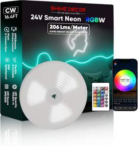 16.4FT RGBW 24V silicona Led luz aplicación remota WiFi Control música sincronización impermeable RGB + blanco frío regulable inteligente neón cuerda luces - Product Image 1