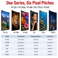 Panneau d'affichage LED flexible Série FFP 320x160mm Taille standard Ultra-mince 7,6 mm Écran LED incurvé intérieur pliable 600CD