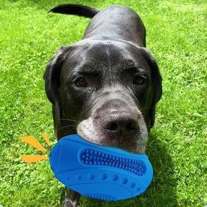 Yzs Hond Speelgoed Piepend Rugbybal Duurzaam Natuurlijk Rubber Speelgoed Voor Kauwers Bijtbestendig Slijpen Tandjes Kauwen Piepend Hondenspeelgoed - Product Image 5