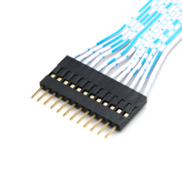 Hohe Haltbarkeit XH2.5 bis Dupont 2,54mm Stecker Flach kabel verkabelung für Leiterplatte stecker und elektrisches Projekt