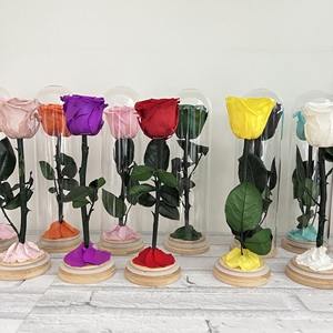Flor preservada Cúpula <span class=keywords><strong>de</strong></span> <span class=keywords><strong>cristal</strong></span> Eternal Single Rose Forever Roses para regalo <span class=keywords><strong>de</strong></span> San Valentín - Product Image 1