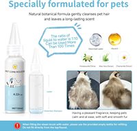 Brosse à vapeur pour animaux de compagnie en ABS de haute qualité pour chien et chat, peigne 3 en 1 pour enlever les poils et pour le toilettage