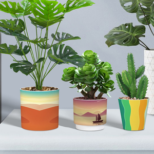 Maceta redonda <span class=keywords><strong>de</strong></span> plástico con patrón gradiente Ins, soporte para pluma <span class=keywords><strong>de</strong></span> maquillaje, conjunto <span class=keywords><strong>de</strong></span> contenedor hidropónico <span class=keywords><strong>de</strong></span> flores <span class=keywords><strong>de</strong></span> simulación - Product Image 5