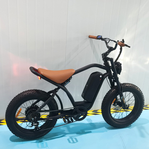 Vélo électrique tout-terrain Fat Boy avec pneus larges 20x4, puissant moteur 48V 500W et autres kits Ebike - Product Image 6