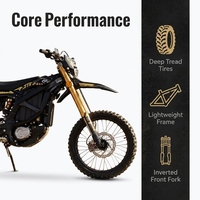2026 Ultra Bee Black Edition 24.5KW 74V60Ah Moto électrique tout-terrain haute puissance >80km/h