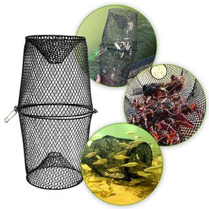 Nassa <span class=keywords><strong>da</strong></span> <span class=keywords><strong>pesca</strong></span> automatica integrata in ferro per gamberi, pesce <span class=keywords><strong>di</strong></span> fango e pesci - Ingrosso - Product Image 1