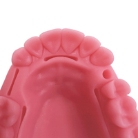 YOUYA DENTAL Juego de 4 Piezas, Modelo de Simulación Dental para Sutura Oral, Equipo de Enseñanza y Entrenamiento de Sutura de Encías
