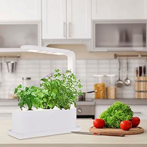 Kit de culture hydroponique pour jardin intérieur, système hydroponique, système de culture intérieur - Product Image 5