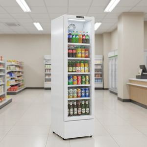 Réfrigérateur à boissons numérique avec porte vitrée, refroidissement par ventilateur, sans givre, 110V/220V, refroidissement par compresseur et éclairage - Product Image 3