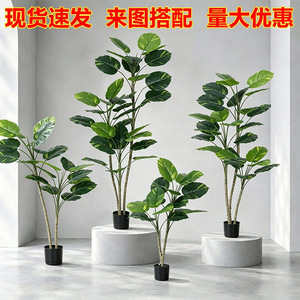 Arbre artificiel en caoutchouc Dream Castle, 100-200 cm, plante verte sur pied pour la décoration intérieure de la maison et des hôtels - Product Image 5
