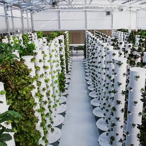 Kit de jardinage hydroponique vertical d'intérieur de grande taille, éclairage LED de culture, travail automatique, circulation d'eau efficace, hydroponique commercial - Product Image 1