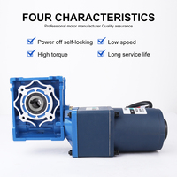 Moteur à courant alternatif à réduction à deux étages 60W 220V couple élevé engrenage à vis sans fin à basse vitesse moteur électrique à engrenage monophasé autobloquant