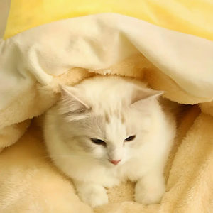 Sofá cama para rascar gatos, cama para dormir fuera de la puerta para gatos y perros, cojín Ramen para mascotas, ropa de cama de papel de hámster de estilo grande, dosel, camas elegantes - Product Image 3