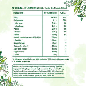 Píldoras desintoxicantes para adultos con cápsulas de Garcinia Cambogia no para mujeres embarazadas - Product Image 2