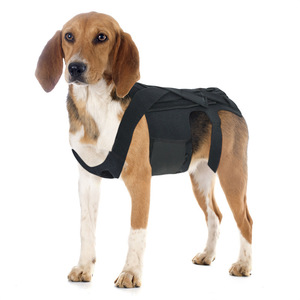 Gilet de soutien dorsal pour chien noir réglable orthopédique pour soulager la douleur canine et protéger des blessures - Product Image 3