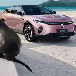 Voyah Zhiyin 2024: Nuova Auto Elettrica a Lunga Autonomia, Eccellenza Stradale, Disponibile per Consegna Immediata - Product Image 1