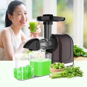 Pure Juice Extractor With 360 Degrees Filter Cold Press Slow Screw Juicer Machine For Home and Restaurant