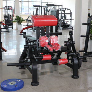 Appareil de musculation et de fitness, double fonction, 2 en 1, avec plaque chargée, extension de jambe assise et machine à curler les jambes - Product Image 2