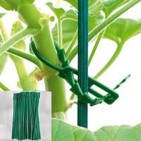 Attaches Réutilisables pour Plantes de Jardin, Sangles Réglables en Os de Poisson pour Soutien de Vignes, Arbustes, Tomates, Treillis, en PP Vert