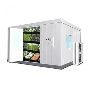 食料品店での果物貯蔵用の新しい0-4自動冷凍庫農場ビッツァーコンプレッサー220V/380Vパネル冷蔵室適用可能