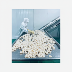 ลิ้นจี่แช่แข็ง iqf เนื้อลิ้นจี่ออร์แกนิคปอกเปลือกและแช่แข็งคุณภาพสูง - Product Image 1