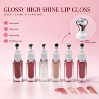 Nouveau style Huile à lèvres repulpante aux fruits Marque privée, Baume à lèvres liquide hydratant végétalien, Gloss à lèvres végétalien à l'acide hyaluronique Marque privée