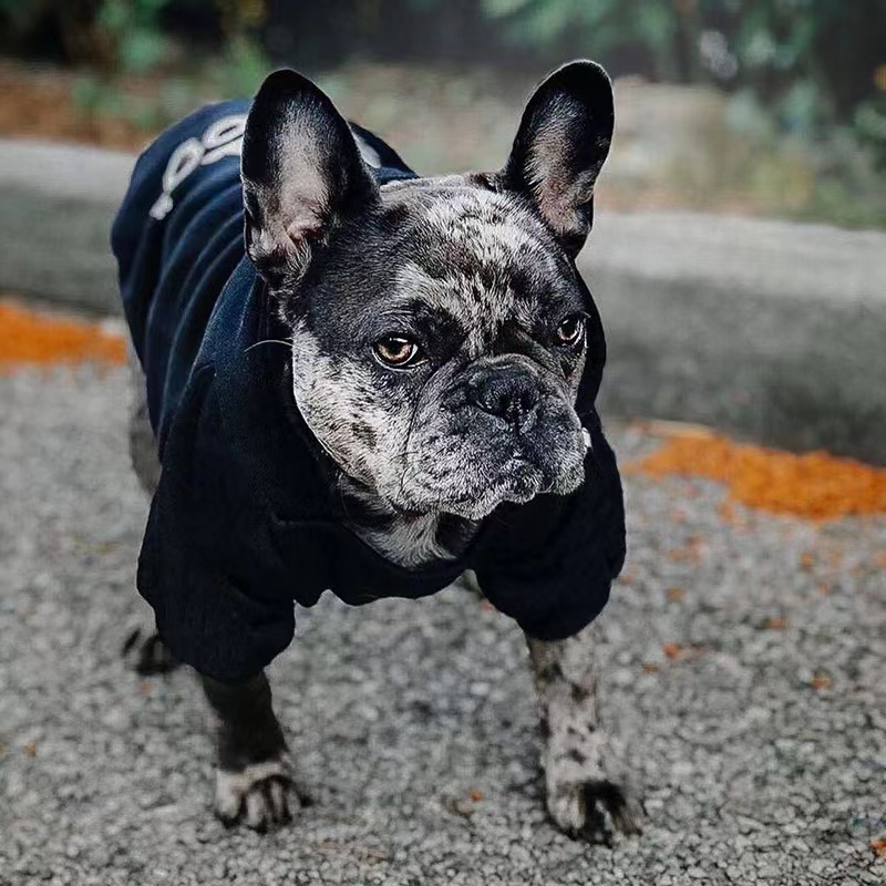 Amazon Hot Selling Dog Clothes Multi-Size Pet Hoodies Luxury Winter Warm Apparel For Dog