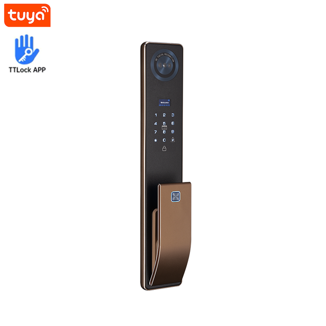WiFi Smart Electronic Wood Steel Door Lock with Camera Face Recognition Features Aluminum Alloy Digital Door for Brass Door