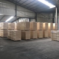 Plinthe en contreplaqué stratifié F4S de qualité industrielle, en bois de bouleau écologique, pour escaliers, cadres de fenêtres et coffrage