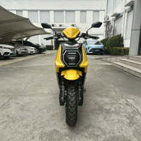 Exportation vers le Brésil : Moto électrique Falcon OEM Enduro, fabricant de motos électriques à pneus larges pour la ville, avec batterie longue portée.