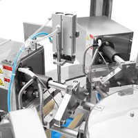 Machine d'emballage automatique de sac de farine de blé de maïs 500g 1kg Machine d'emballage de remplissage de poudre de café de sucre