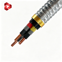 Cable de Alimentación ESP Aislado con Goma para Aplicaciones de Bombas Sumergibles en Campos Petroleros