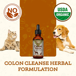 Tetesan penyelamatan usus besar esensial hewan untuk anjing kucing-knalpot pereda bangku pelembut licin Elm Marshmallow akar imun - Product Image 5