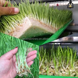 เครื่องเพาะเมล็ดอาหารสัตว์ระบบไฮโดรโปนิกส์เครื่องเพาะเมล็ดพืชแบบอัตโนมัติสีเขียวข้าวบาร์เลย์ไฮโดรโปนิกส์ - Product Image 4