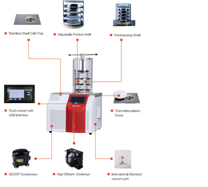 Laboratuvar soğutma ekipmanları için Small küçük boy Lab liyofilizasyon donmalı kurutucu vakumlu dondurucu kurutucu - Product Image 3