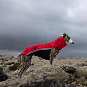 Qiqu Pet Supplies Custom New Designer Whippet Softshell Jacket Jumper pour Greyhound <span class=keywords><strong>Saluki</strong></span> Lurcher Italian Greyhound Avec fermeture éclair - Product Image 6