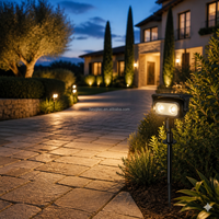 2 lampes solaires pour pelouse, RGB, blanc chaud, blanc froid, étanches IP55, haute luminosité, lampe de jardin LED, capteur de lumière, éclairage à distance