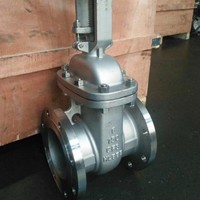 Válvula de Compuerta de Hierro Dúctil Industrial Premium con Vástago Fijo y Sellado Suave, con Cuña de Acero Inoxidable 316L