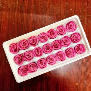 Lot de 21 roses éternelles réelles et préservées de haute qualité, élégantes, pour la Saint-Valentin et autres occasions - Product Image 5