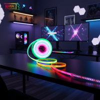 Bande lumineuse LED RGB 24V SMD2835 16,4 pieds IP67 étanche DMX adressable programmable par USB flexible